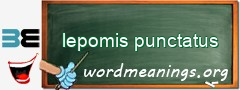 WordMeaning blackboard for lepomis punctatus